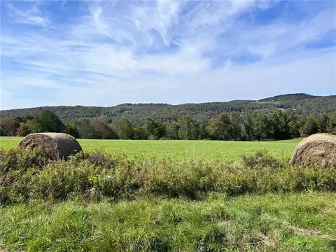 Hubert Road, Callicoon, NY 12791
