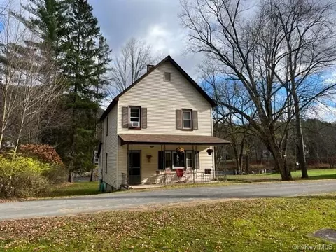 318 Cooks Falls Store Rd, Colchester, NY 12776