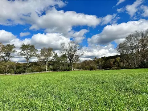 Welsh Road, Delaware, NY 12750