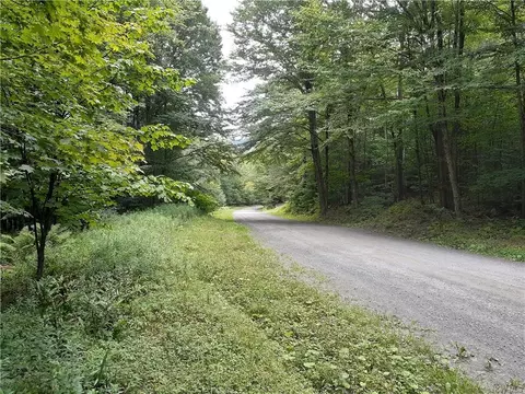Bowers Road, Fremont, NY 12736