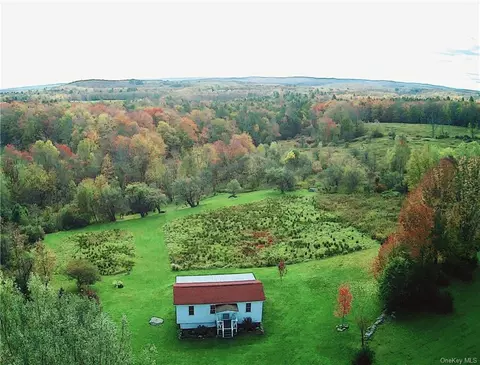 163 Reynolds Rd, Loch Sheldrake, NY 12759