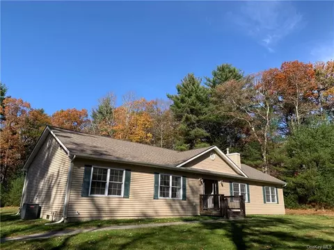 53 Ogden Rd, Lumberland, NY 12737