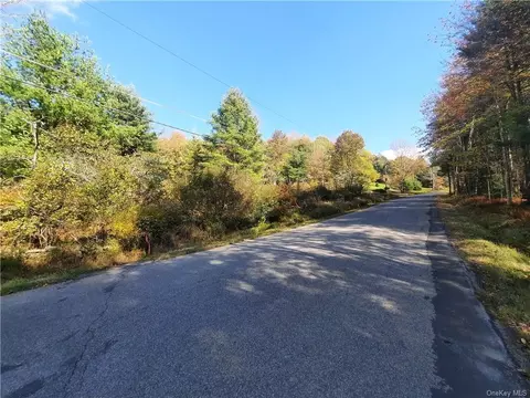 E Glen Wild Road, Thompson, NY 12775