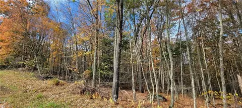 25 Woodoak Drive, Tusten, NY 12764