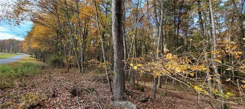 26 Woodoak Drive, Tusten, NY 12764