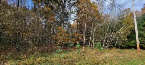 24 Woodoak Drive, Tusten, NY 12764