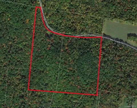 Lot 22.7 New Turnpike B, Cochecton, NY 12737