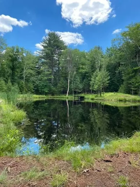 White Road, Lumberland, NY 12737