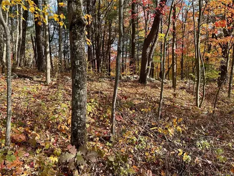 1 Hill Rd, Austerlitz, NY 12017 photo 1