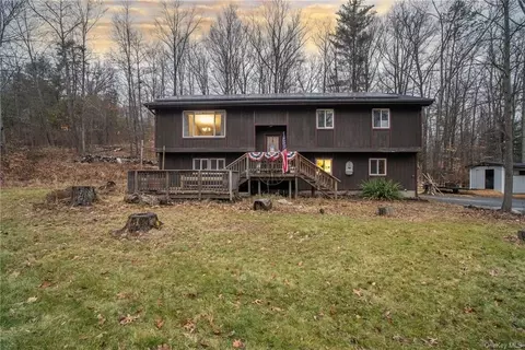 20 Patrick Dr, Mamakating, NY 12721