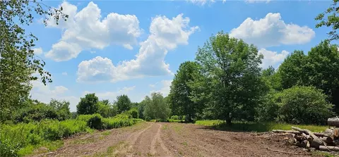 lot81 4 County Road 114, Cochecton, NY 12726