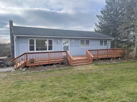 881 County Route 164, Delaware, NY 12723