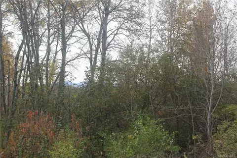 County Rte 410, Westerlo, NY 12193