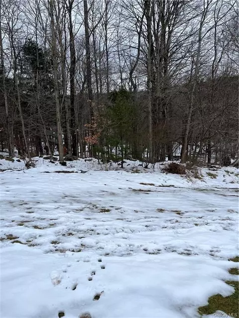 Co Hwy 53, Fallsburg, NY 12733