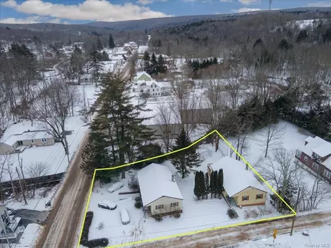 3 Willow St # -5, Mountain Dale, NY 12763