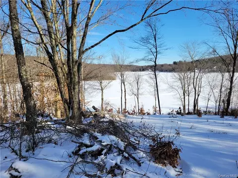 Lot 28.2 Shore Road, Liberty, NY 12783