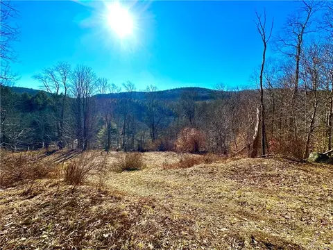 185 N Branch Callicoon Ctr Rd, Callicoon, NY 12766