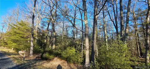 lot57 1 Yulan-barryville Rd, Highland, NY 12719