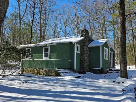 53 Cahoonzie Trl, Lumberland, NY 12737