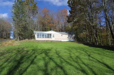 92 William Brown Rd, Fremont, NY 12736