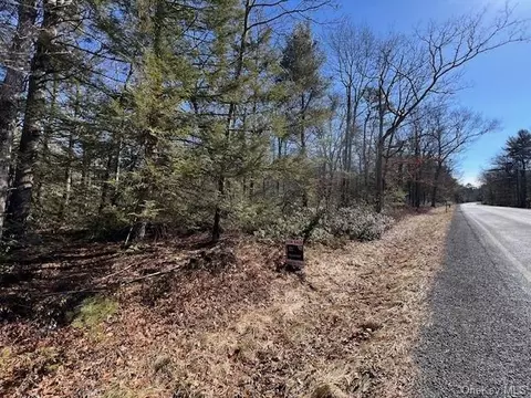 Lot 18.6 Forestburgh Road, Lumberland, NY 12737