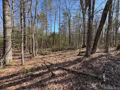 Lot 32.5 Devlin Road, Highland, NY 12743