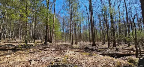 Lot 15 Nys 97, Tusten, NY 12764