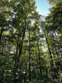 Browns Road, Neversink, NY 12765