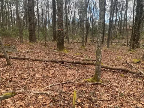 Iroquois Trail, Lumberland, NY 12737