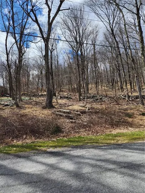 Ponderosa Road, Kent, NY 10512