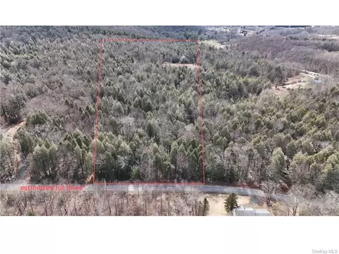 Tanzman Road, Liberty, NY 12754