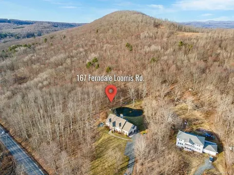 167 Ferndale Loomis Rd, Liberty, NY 12754