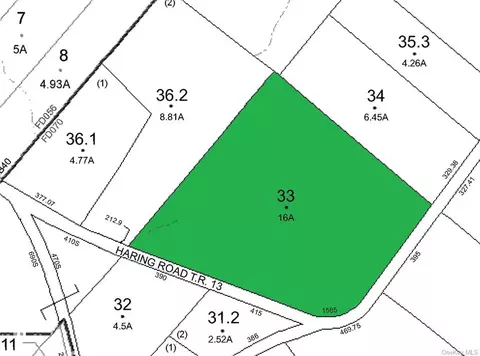 Haring Road, Lumberland, NY 12719