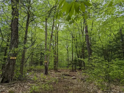 Diamond Road, Wawarsing, NY 12428