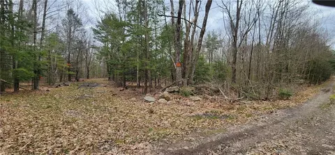 16 Todd Rd, Fallsburg, NY 12788
