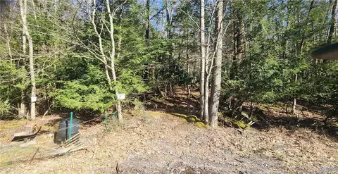 Davis Lane, Fallsburg, NY 12733