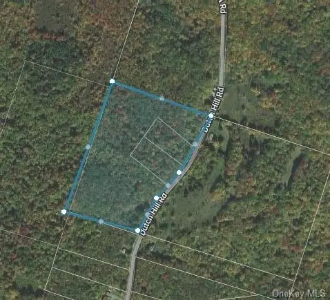 570 Dutch Hill Rd, Callicoon, NY 12776