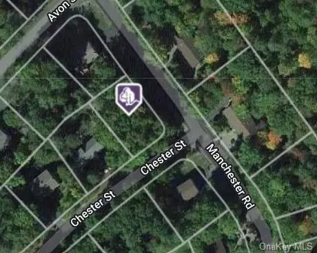 Chester Street, Thompson, NY 12775