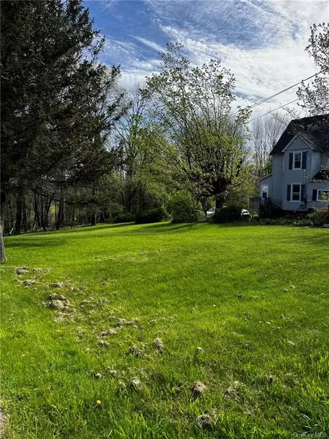 Lake Street, Liberty, NY 12754