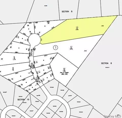 30 Mount Ridge Ct, Chester, NY 10950