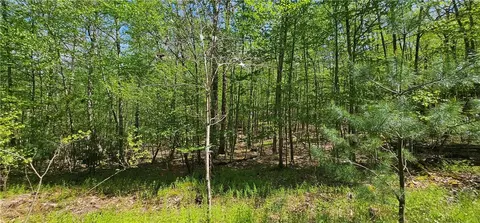 2 Foster Trl, Tusten, NY 12764