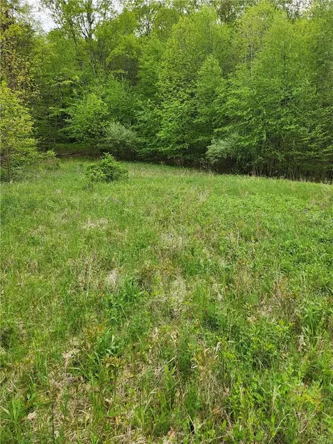 11 Lots, Gallatin, NY 12502