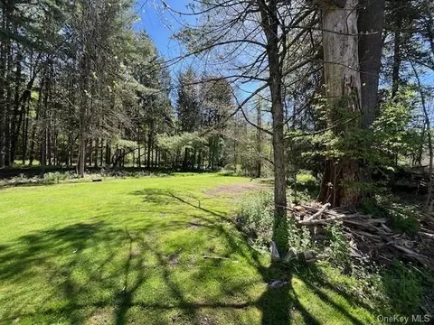 Hankins Road, Fremont, NY 12736