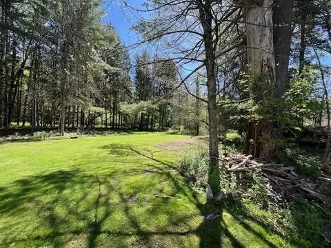 Hankins Road, Fremont, NY 12736
