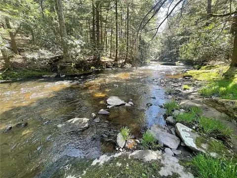 lot5 Big Woods Rd, Thompson, NY 12742