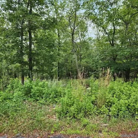 Stoney Trail, Mamakating, NY 12790