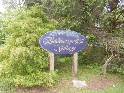1003 Village Dr, Southeast, NY 10509