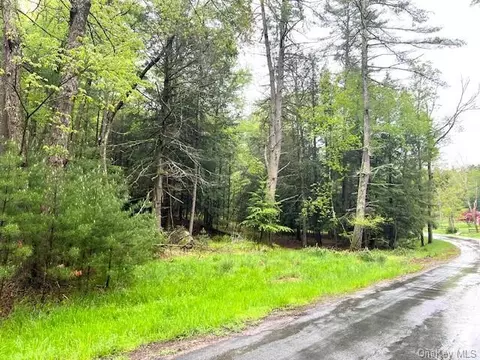 Lot 52.5 Corkscrew Road, Highland, NY 12792