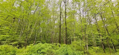 Lot 32.7 State Route 17b, Cochecton, NY 12726
