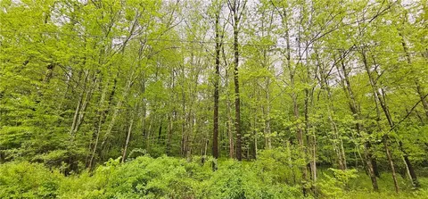 lot32 7 State Route 17b, Cochecton, NY 12726